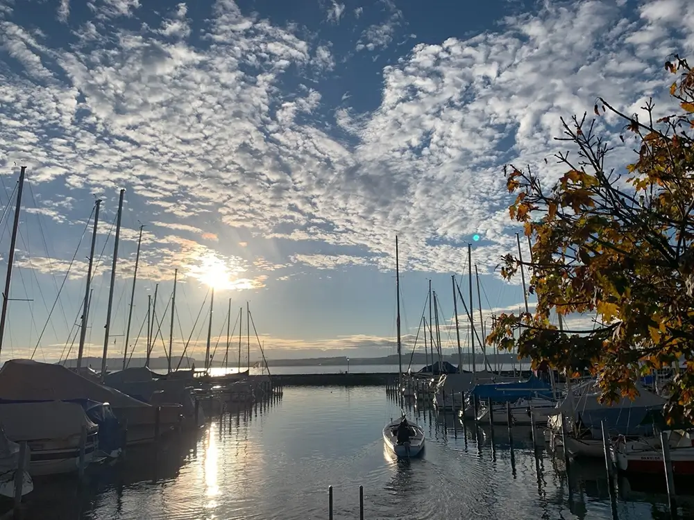 Bateau Ecole Bootsfahrschule Hauterive Neuenburgersee Bateau Ecole Bootsfahrschule Hauterive Neuenburgersee